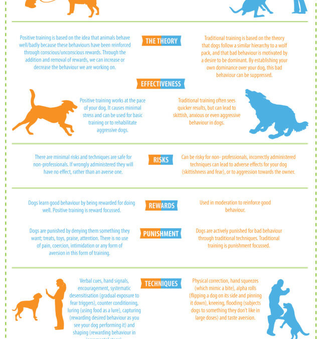 Positive Dog Training vs. Traditional Dog Training
