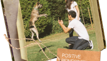 What is positive reinforcement training?
